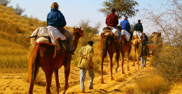 Thrilling Camel Safari in Osian