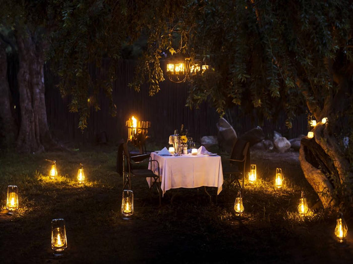 Bush Dining Experience for Two at The Riverwood Forest Retreat - Pench
