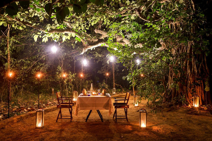Bush Dining Experience for Two at The Riverwood Forest Retreat - Pench