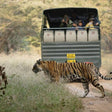 Canter Safari