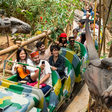 Discovate Adventure Park Entry Ticket with Choice of One Thrilling Attraction