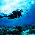 Netrani Island Scuba Diving