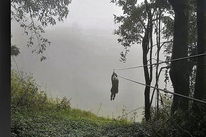 400ft Zipline