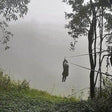 400ft Zipline