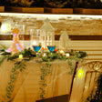 Enchanting Canopy Candlelight Dinner