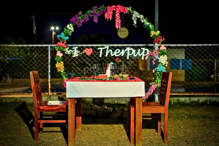 Date & Dine With Dogs