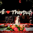 Date & Dine With Dogs