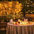 Candlelight Dinner Bliss at Radisson