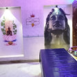 Calming Avikarma Herbal Body Massage