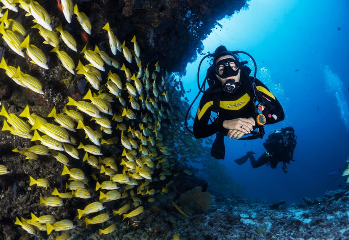Thrilling Introductory Scuba Diving Experience in Kovalam