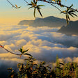 Soft Trek at Munnar