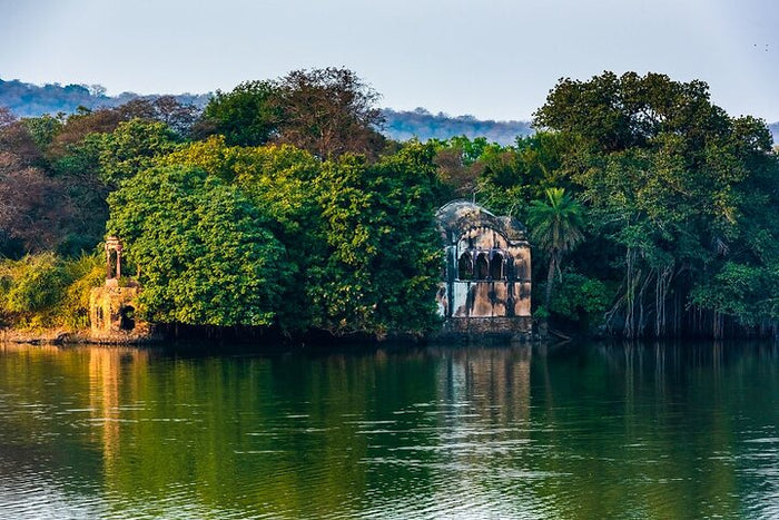Raj Bagh