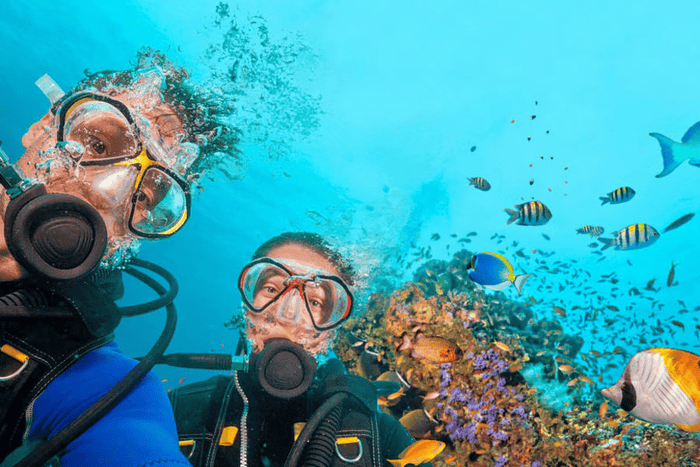 Netrani Island Scuba Diving