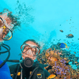Netrani Island Scuba Diving