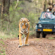 Safari Adventure Gift Box: Extraordinary Wildlife Experiences Across India