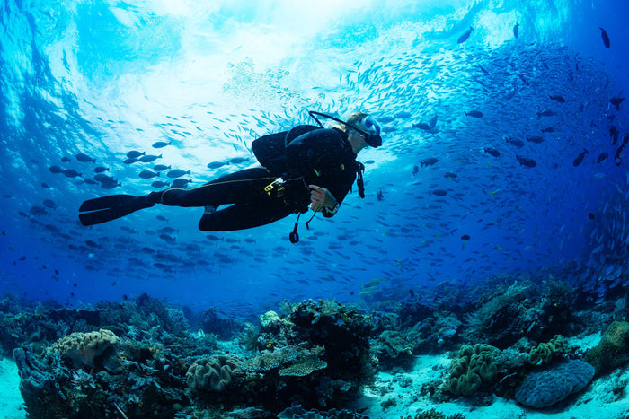 Scuba Diving in Kovalam