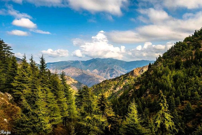 Temple trail: Top Tibba Trek