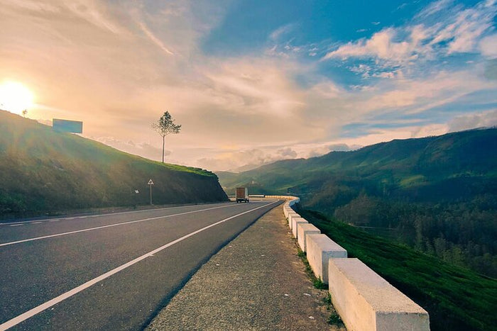 Immersive Mesmerizing Munnar: A Journey Through Paradise