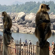 Unforgettable Hire a Licensed Guide for Fullday Hampi visit with own transport