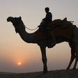 Camel Safari at Osian from Jodhpur