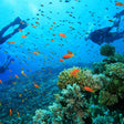 Scuba Diving in Andaman