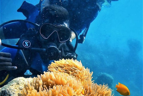 Signature Boat Scuba Diving at Neil Island