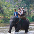 Elephant Safari Experience for One in Gorumara National Park