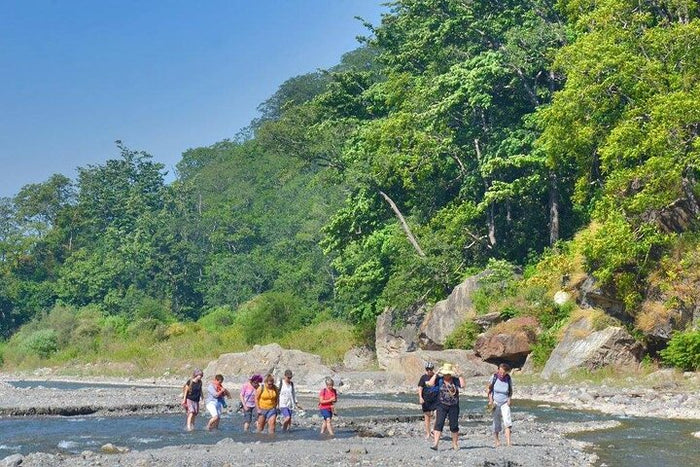 Trail towards Temple