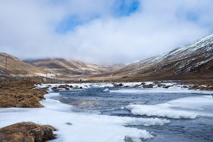 Premium Excursion to North Sikkim Lachen and Lachung 6 Days