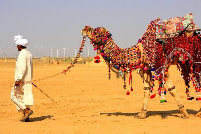 Desert Adventure Gift Box: Thrilling & Scenic Experiences Across Rajasthan’s Golden Sands