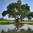 Premium Relax In a Backwaters - A Two-night Excursion From Cochin With Private Transfers