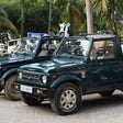 Immersive Private Lion Safari in the Gir National Park in Gujarat