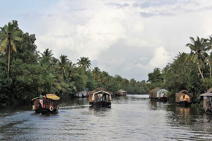 Premium Relax In a Backwaters - A Two-night Excursion From Cochin With Private Transfers