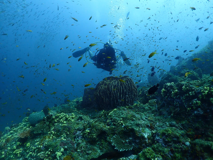 Scuba Diving in Kovalam