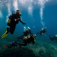 Grand Island Scuba Diving with Free Videography