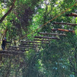 Unforgettable High Ropes Course in Madikeri