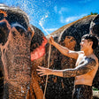 Royal Elephant Experience with Safari and Cultural Village Tour in Jaipur