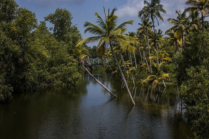 Premium Relax In a Backwaters - A Two-night Excursion From Cochin With Private Transfers