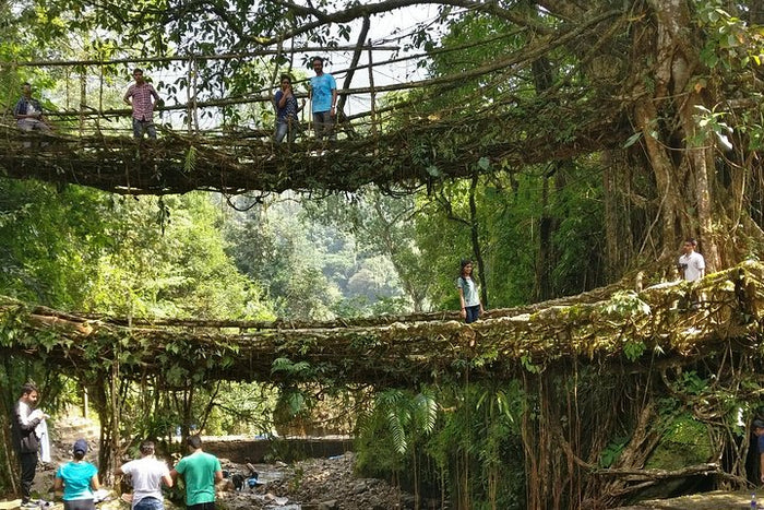 Immersive 6D/5N Assam & Meghalaya