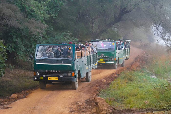 Canter Safari