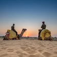 Authentic Camel Safari Experience With Us