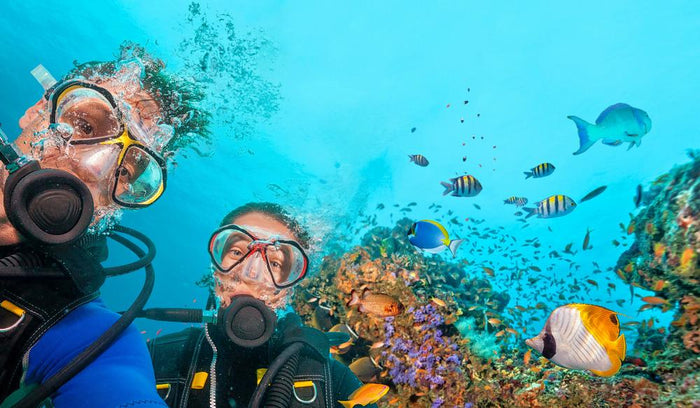Scuba Diving in Kochi
