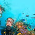 Scuba Diving in Kochi
