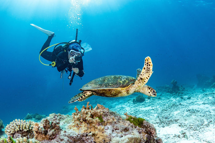 Shore Scuba Diving at Neil Island, Andaman