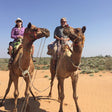 Authentic Camel Safari Experience With Us