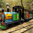 Discovate Adventure Park Entry Ticket with Choice of One Thrilling Attraction