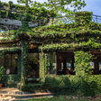 Romantic Candlelight 4-Course Dinner Experience for Two at The Riverwood Forest Retreat Dooars