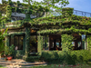 Romantic Candle Light Rooftop Dinner Experience for Two at The Riverwood Forest Retreat Dooars