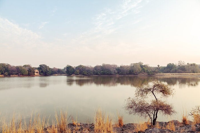 Ken River in Panna National park.