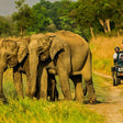 Thrilling Jeep Safari in Jim Corbett National Park from Ramnagar